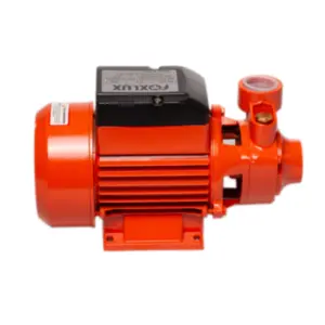 Bomba D'Agua Periférica 0,5cv 220v 64.04 - Foxlux