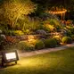Refletor Led   50W 3000K Bivolt Preto LED38.13 - Foxlux