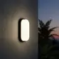 Luminária Led Tartaruga 12W 6500K Bivolt Cor Preta LED93.17 - Foxlux