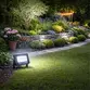 Refletor Led   50W 6500K Bivolt Preto LED38.22 - Foxlux