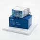 Bloco Conector de Distribuição  8 conexões ( 2+6 ) JUT 11-125A - JNG